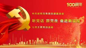 聽(tīng)黨話 跟黨走 奮進(jìn)新征程 ——記中共新稀寶集團(tuán)有限公司支部委員會(huì)七月主題黨日活動(dòng)